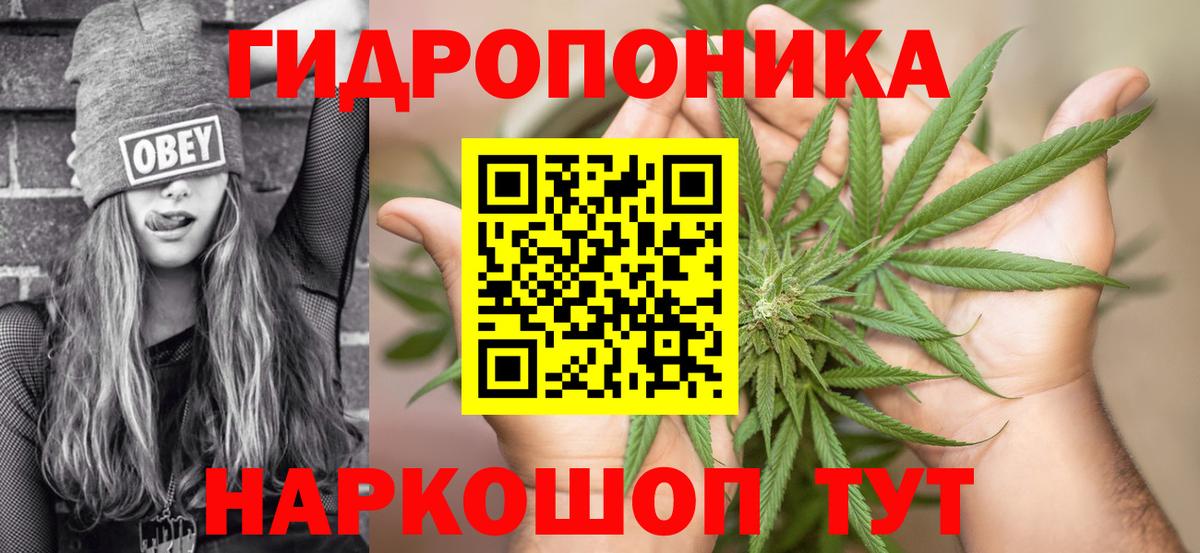 Канабис конопля  Вход с VPN  Шишки марихуана Bruce Banner  Бошки марихуана семена  Всеволожск 